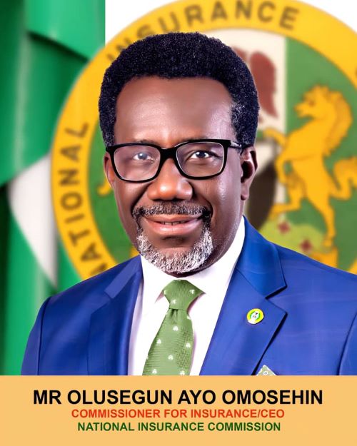 Omosehin-Photo-2