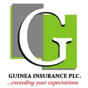Guinea-Insurance-Plc