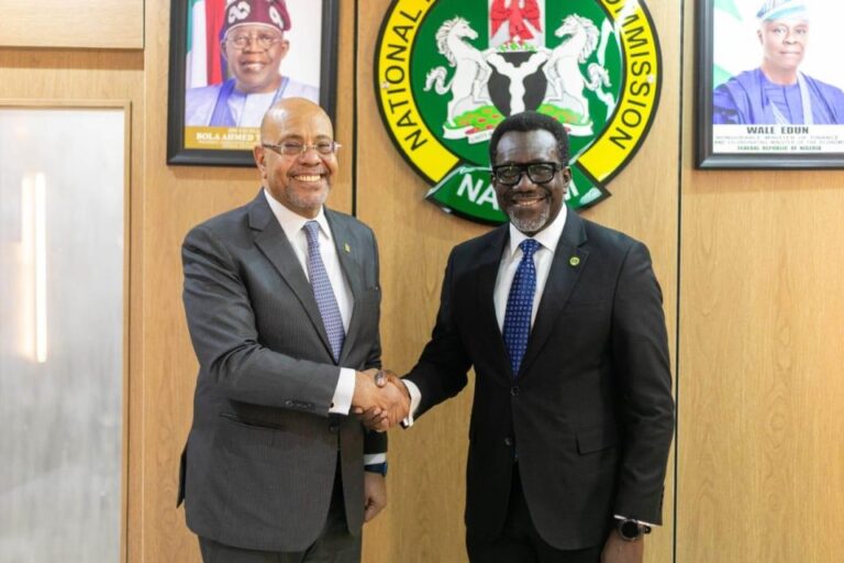 NAICOM-Egypt-visit-960x640