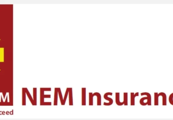 NEM