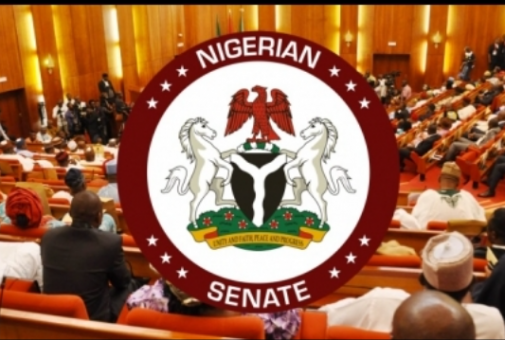 Senate1-505x340